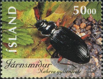 Фауна на почтовых марках Исландии 2004_1