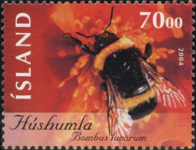 Фауна на почтовых марках Исландии 2004_2