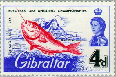 1966. -  European sea angling championship  