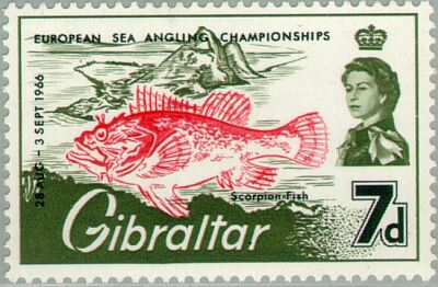 1966. -  European sea angling championship  