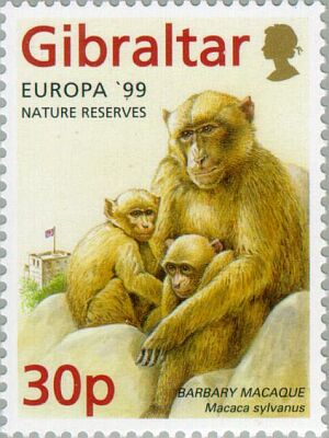 1999. -  Europa   Issue with 4 values   