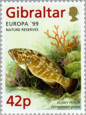 1999. -  Europa   Issue with 4 values   