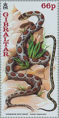 2001. - Year of the Snake: Snakes