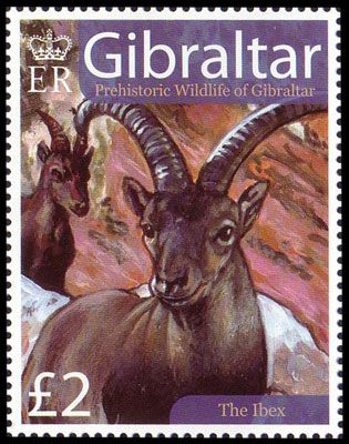 2007. - Gibraltar Prehistoric Animals.