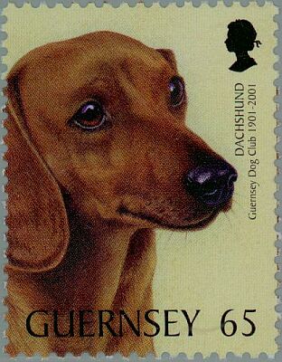 2001. - Guernsey Dog Club 1901-2001 