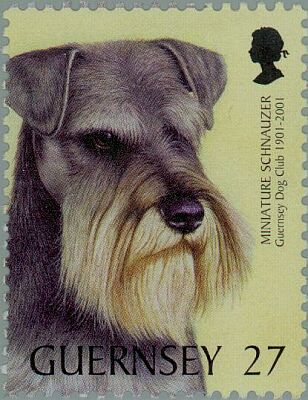 2001. - Guernsey Dog Club 1901-2001 