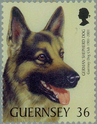 2001. - Guernsey Dog Club 1901-2001 