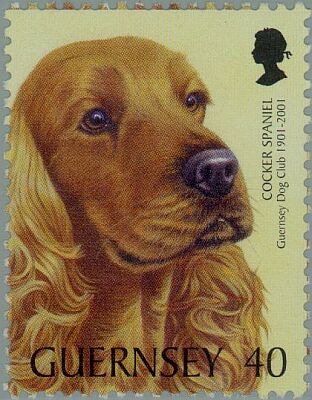 2001. - Guernsey Dog Club 1901-2001 