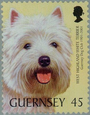 2001. - Guernsey Dog Club 1901-2001 