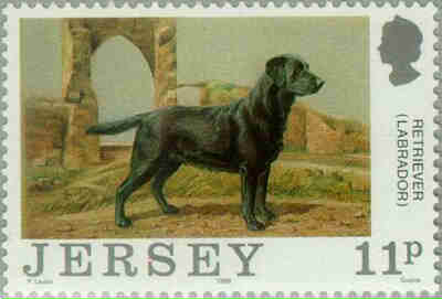 1988. - Centenary of Jersey Dog Club  