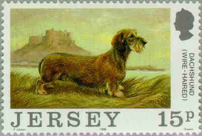 1988. - Centenary of Jersey Dog Club  