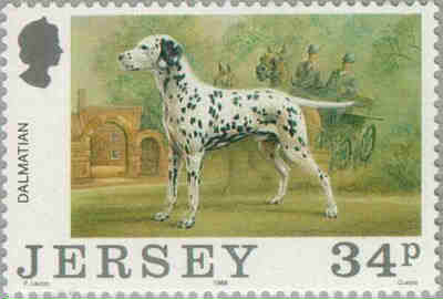 1988. - Centenary of Jersey Dog Club  