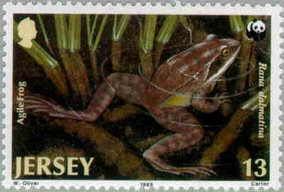 1989. - Endangered Jersey Fauna 