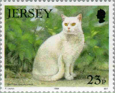 1994. - 21st Anniversary of the Jersey Cat Club 