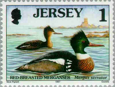 1997. - Seabirds and waders 