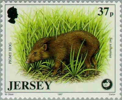 1997. - Wildlife Preservation Trust (6th series) 