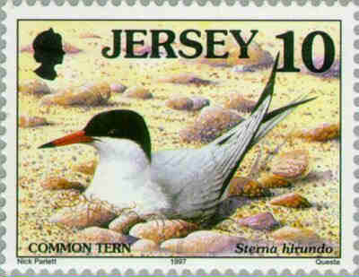 1997. - Seabirds and waders 
