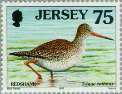1997. - Seabirds and waders 