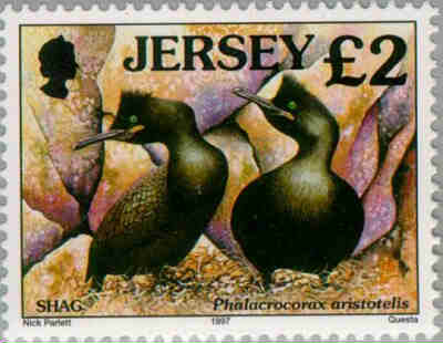 1997. - Seabirds and waders 