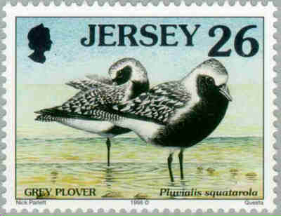 1998. - Seabirds and waders 