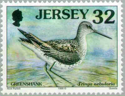 1998. - Seabirds and waders 