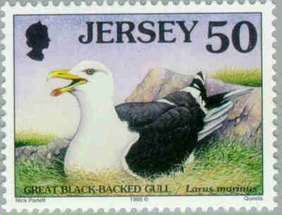 1998. - Seabirds and waders 