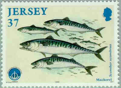 1998. - International Year of the Ocean. Fishes 