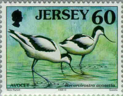 1998. - Seabirds and waders 