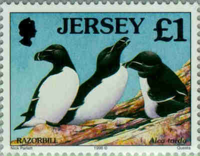 1998. - Seabirds and waders 