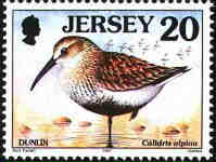 1998. - Seabirds and waders 