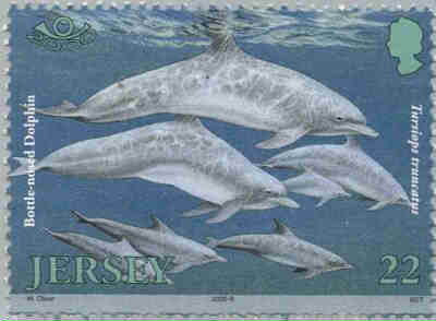 2001. - Jersey Marine Life IV - Marine Mammals 