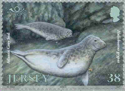 2001. - Jersey Marine Life IV - Marine Mammals 