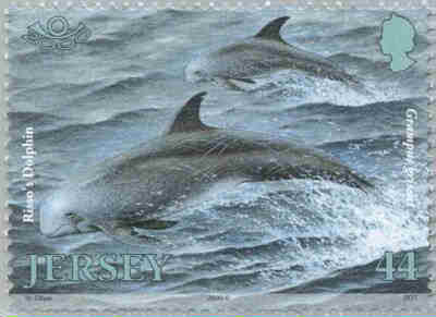 2001. - Jersey Marine Life IV - Marine Mammals 