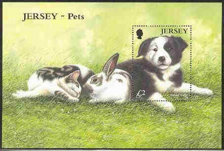 2003. - Jersey Pets  