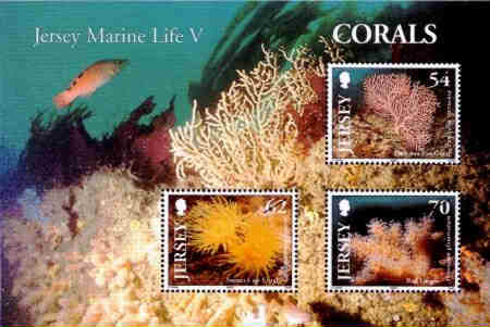 2004. - Jersey Marine Life - Corals 