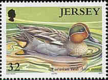 2004. - Jersey Nature Ducks & Swans 