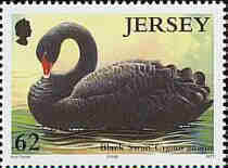 2004. - Jersey Nature Ducks & Swans 