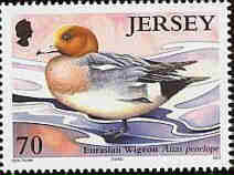 2004. - Jersey Nature Ducks & Swans 