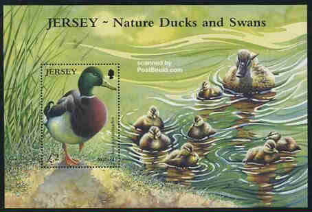 2004. - Jersey Nature Ducks & Swans 