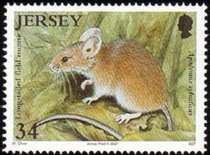 2007 - Small Mammals