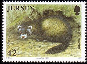 2007 - Small Mammals