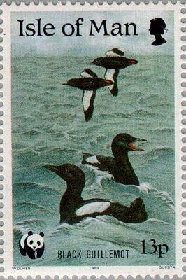 1989. -  Sea birds