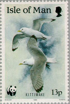 1989. -  Sea birds