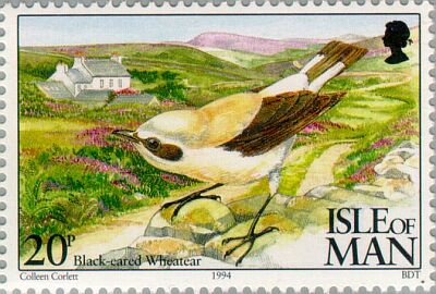 1994. - Calf of Man bird observatory 