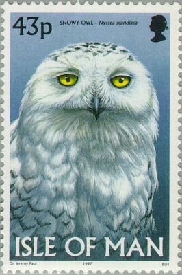 1997. -   Owls     