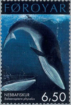 2001. -  Protected Large Whales. 