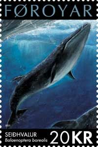 2001. -  Protected Large Whales. 